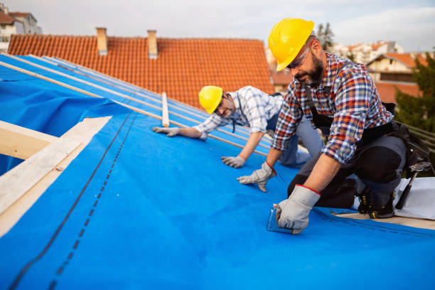 Best Metal Roofing Contractor  in Chalmette, LA